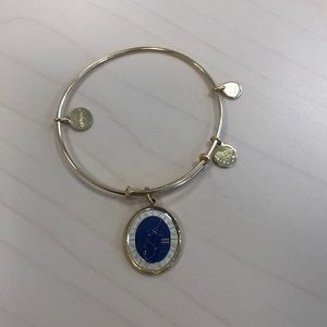 Alex&Ani charm bangle, Aquarius zodiac charm